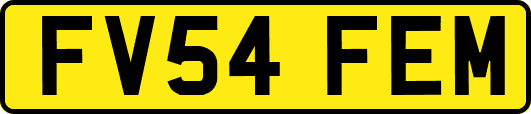 FV54FEM