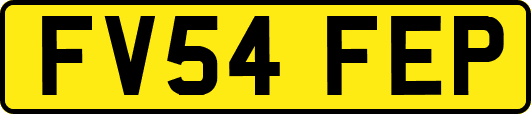 FV54FEP