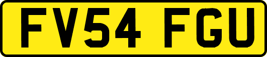 FV54FGU