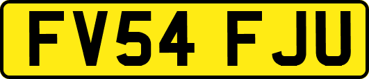 FV54FJU