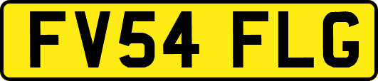 FV54FLG