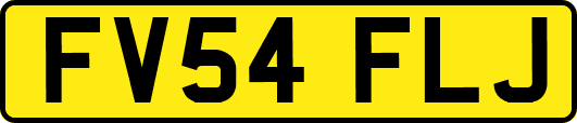 FV54FLJ