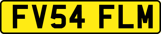 FV54FLM