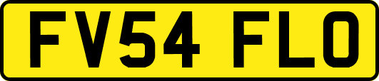 FV54FLO