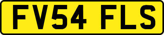 FV54FLS
