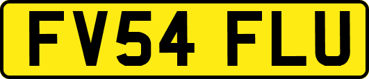 FV54FLU
