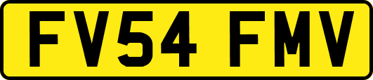 FV54FMV