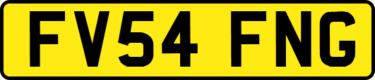 FV54FNG