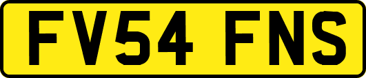 FV54FNS