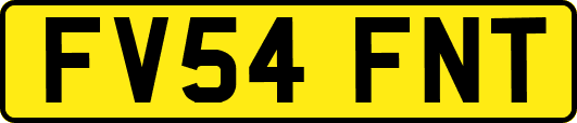 FV54FNT