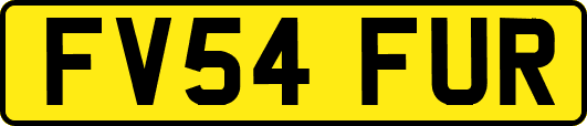 FV54FUR