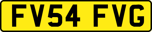 FV54FVG