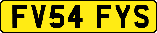 FV54FYS