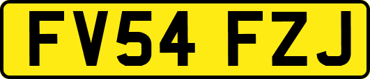 FV54FZJ