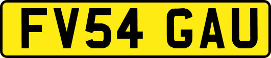FV54GAU