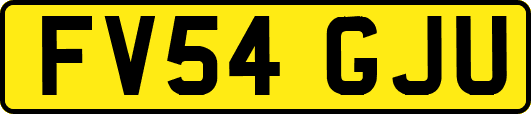 FV54GJU