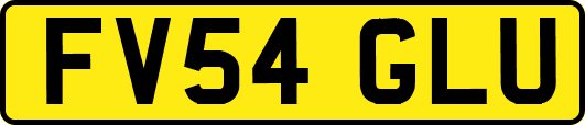 FV54GLU