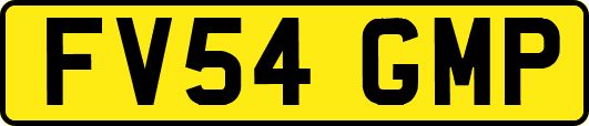 FV54GMP