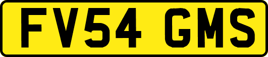 FV54GMS