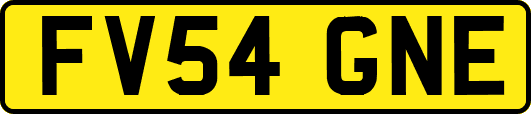 FV54GNE