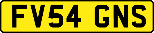 FV54GNS