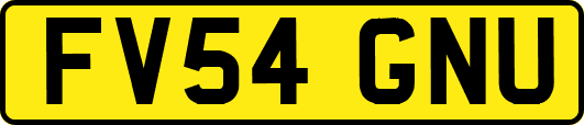 FV54GNU