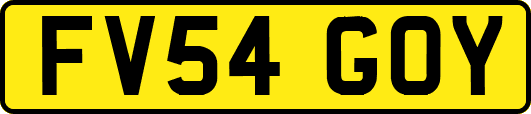 FV54GOY