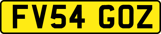 FV54GOZ
