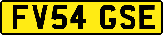 FV54GSE