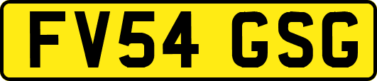 FV54GSG