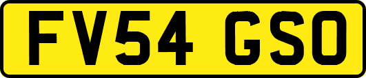 FV54GSO