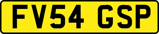 FV54GSP