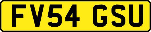 FV54GSU