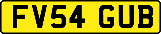FV54GUB