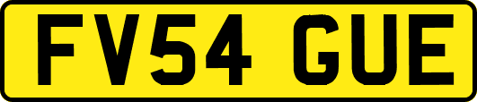 FV54GUE