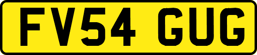 FV54GUG