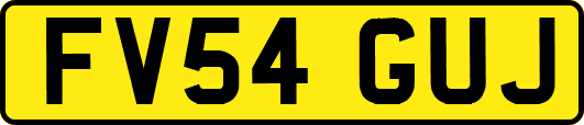 FV54GUJ