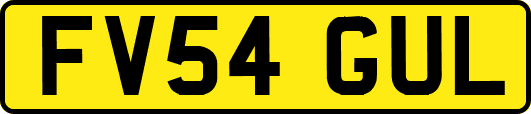 FV54GUL