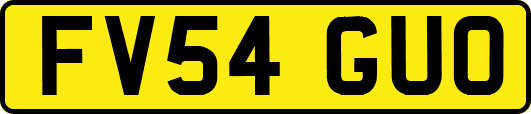 FV54GUO