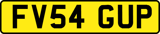 FV54GUP