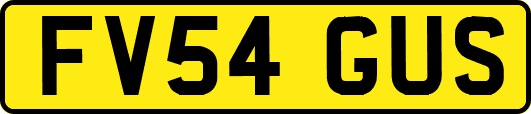 FV54GUS