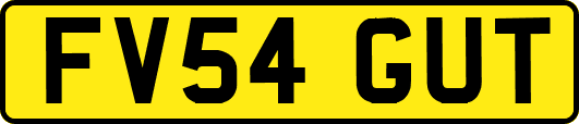 FV54GUT