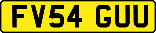 FV54GUU