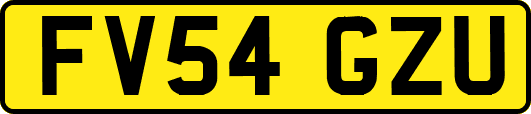 FV54GZU