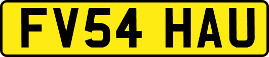 FV54HAU