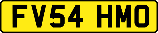 FV54HMO