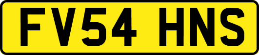 FV54HNS