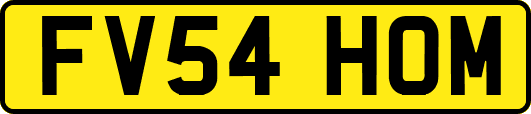 FV54HOM