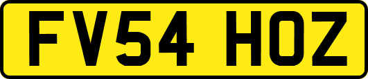 FV54HOZ