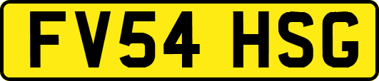 FV54HSG
